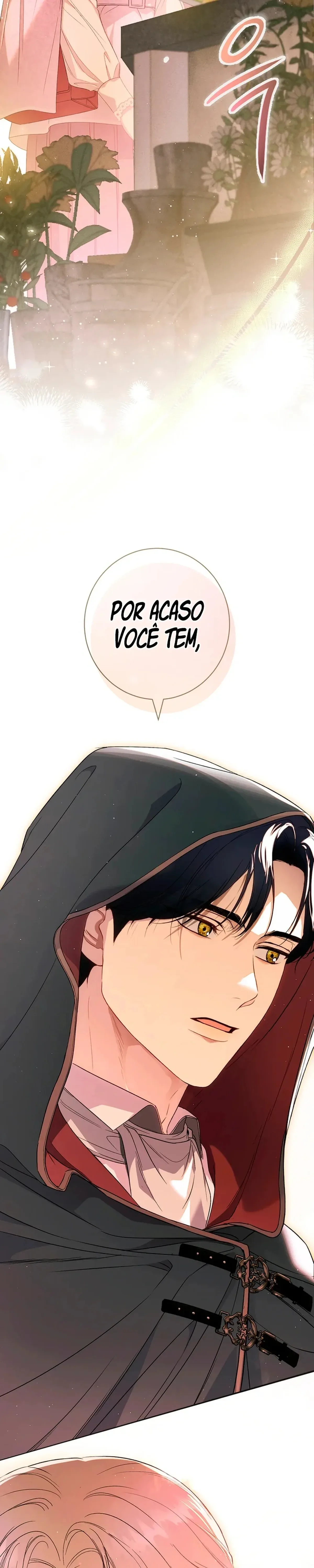 Página 46